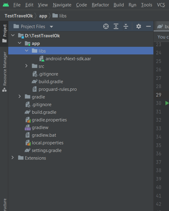 Android Studio libs